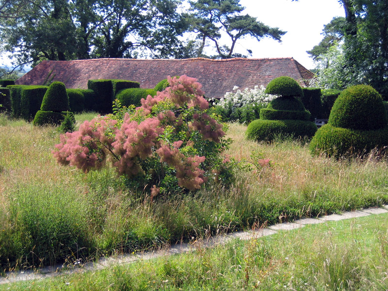 Topiary, Great Dixter
