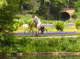 Green commuting, in Berlin