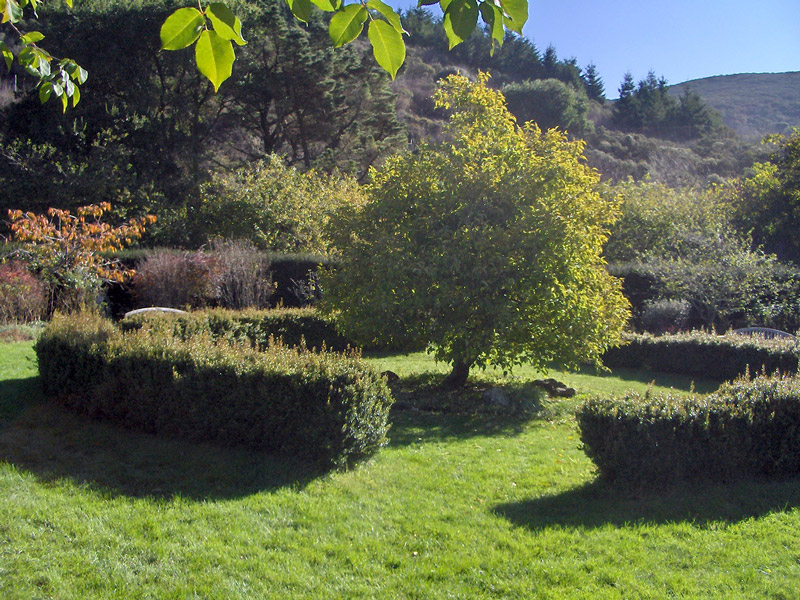 Green Gulch Garden, California