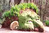 Garden sculpture - head