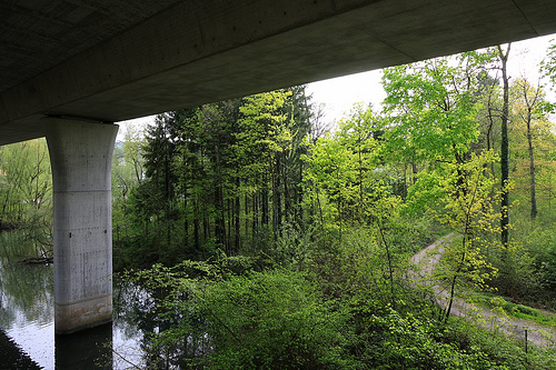 Green Infrastructure