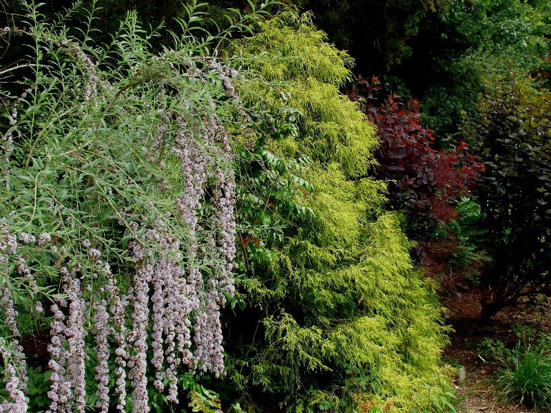 Green Spring Gardens, Virginia