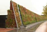 Green wall by the O2 Greenwich Dome
