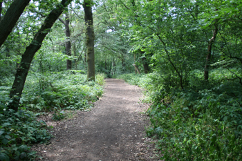 greenchain