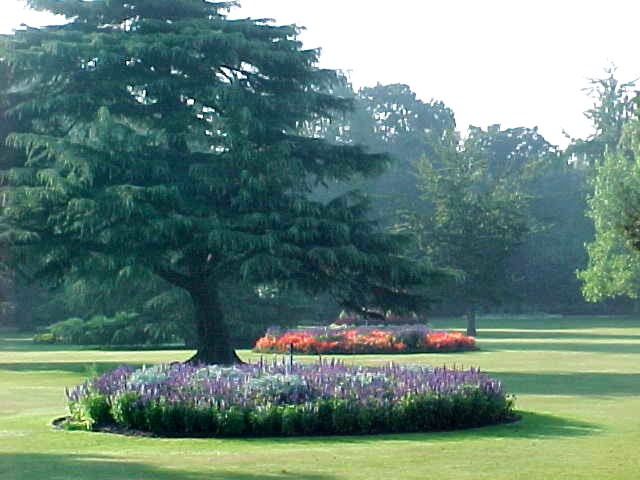 Illustrations on CD edition of Garden Visit and Travel Guide - see www.gardenvisit.com/order_form.htm