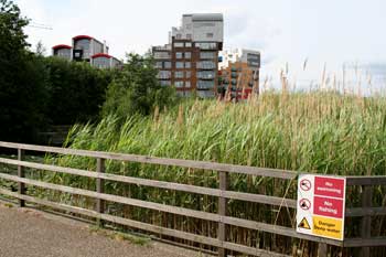 The fence bars entry to the wetland