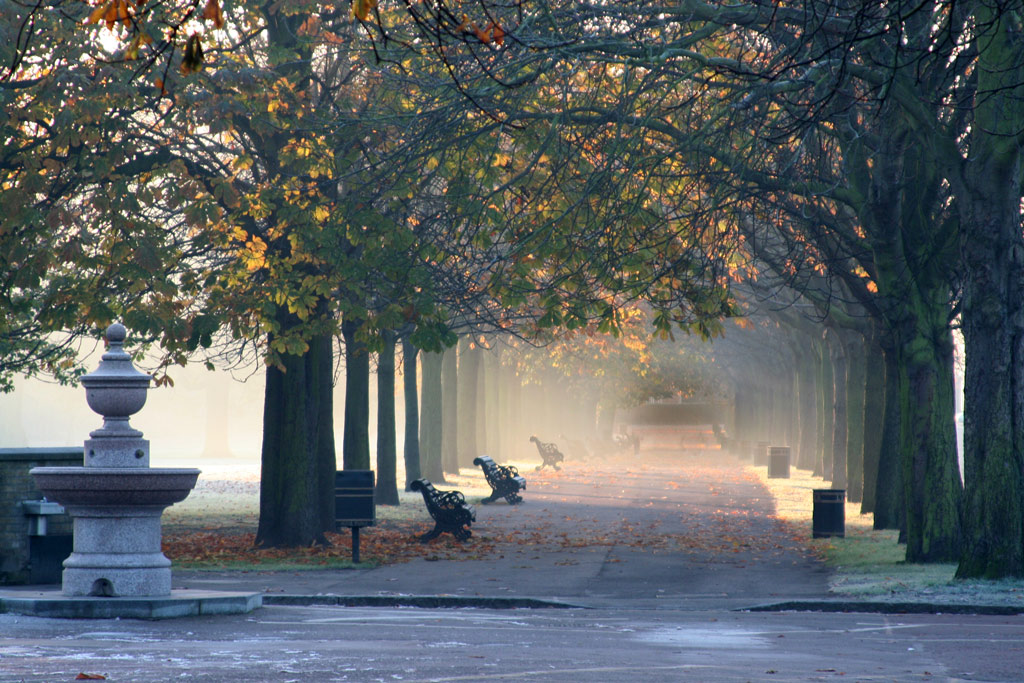 Greenwich Park, London