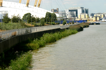 Wetland re-creation