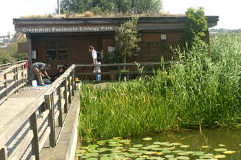 The Greenwich Peninsula Ecology Park