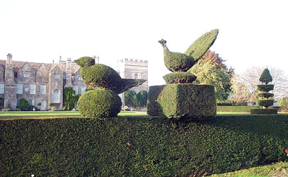 Grimsthorpe castle garden