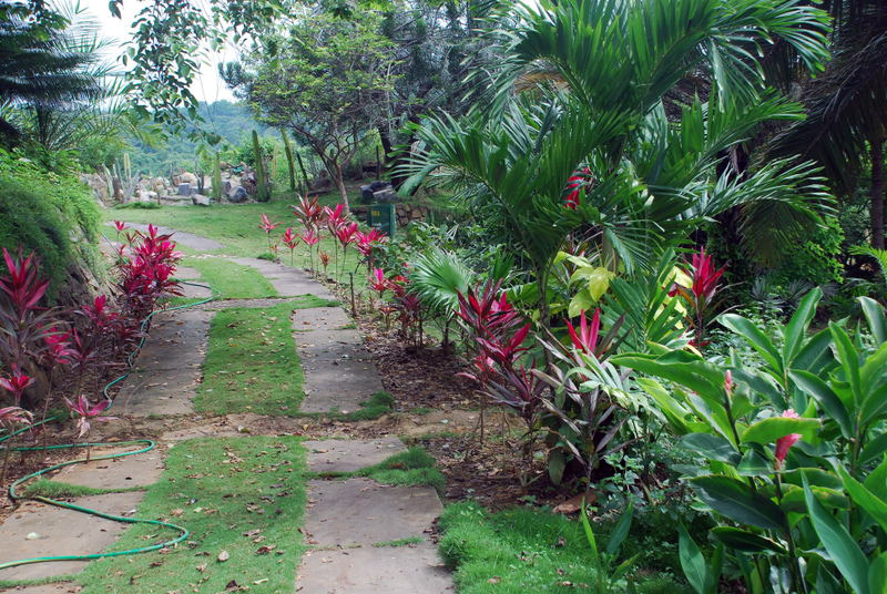 Guayaquil Botanic Gardens, Ecuador