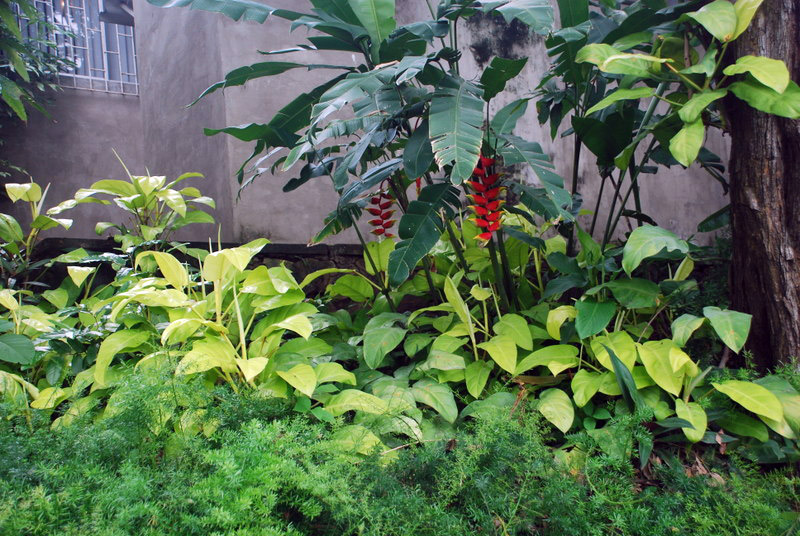 Guayaquil Botanical Gardens, Ecuador