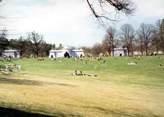 Haga royal park2