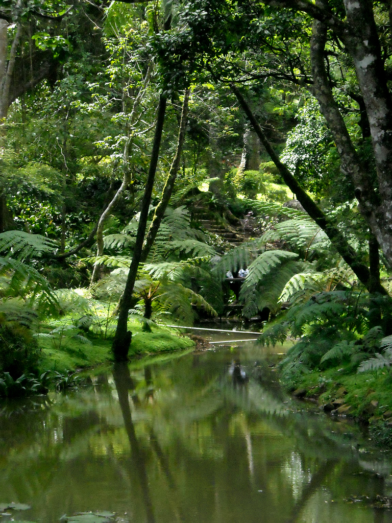 Hakgala Gardens Lahiru Kannangara