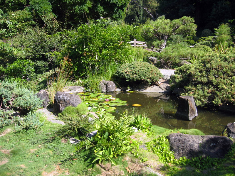 Hakone Gardens, California