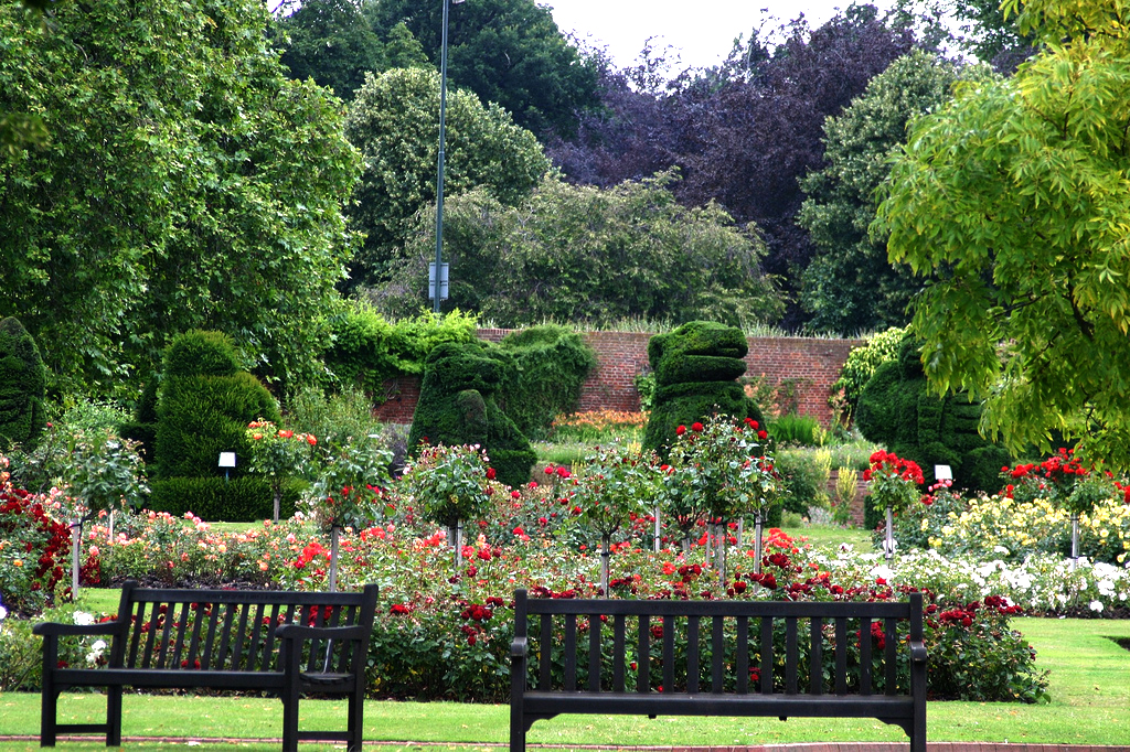 Hall Place Garden Nick Lawes