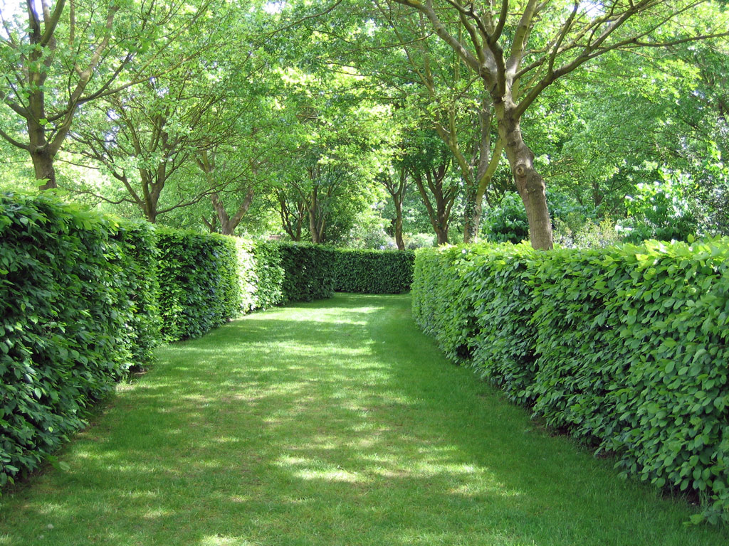 Wilderness, Ham House
