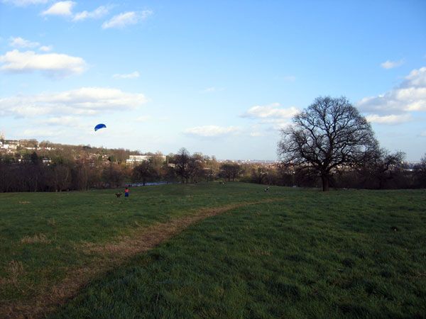 Hampstead Heath