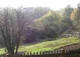 Hampstead Heath
