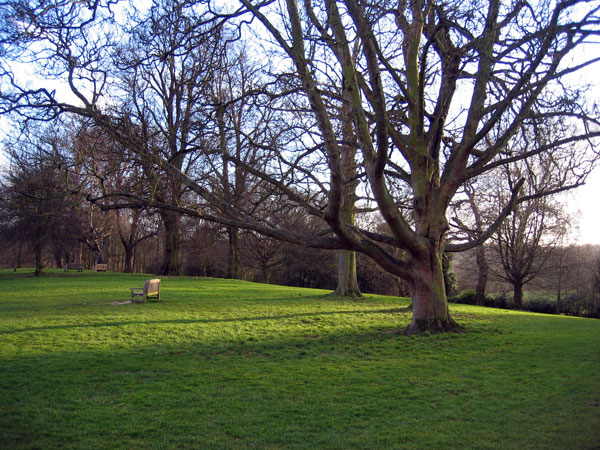 Hampstead Heath, Greater London