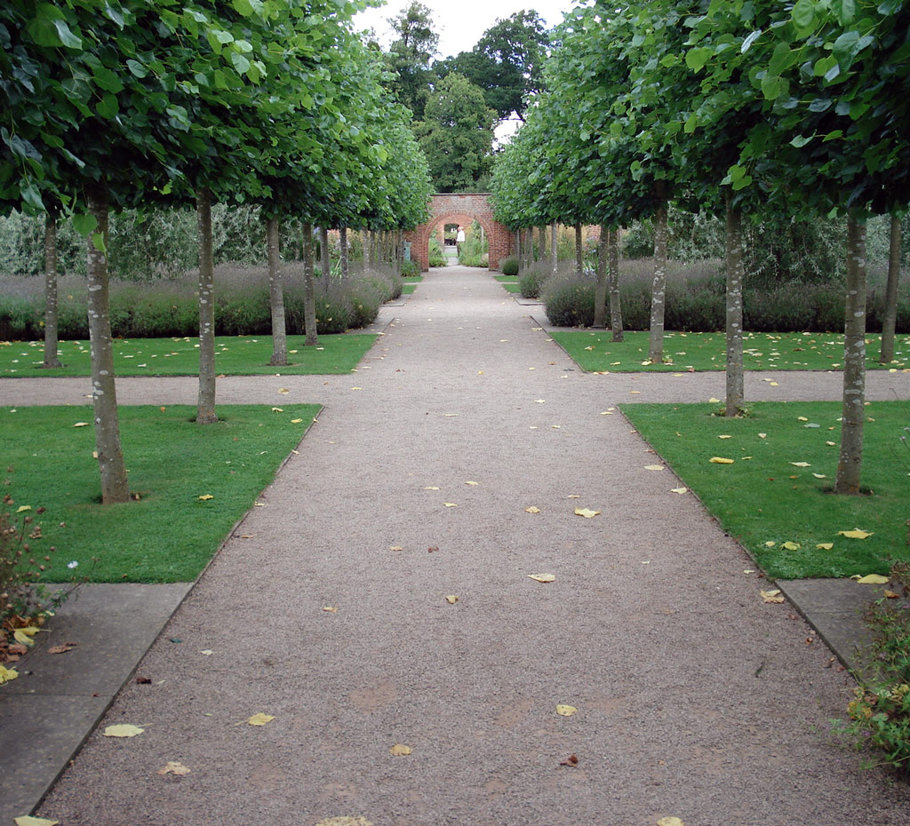 Avenue, Hampton Court