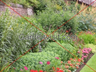Hampton Court Herbaceous Border