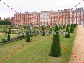 Hampton Court Privy Garden
