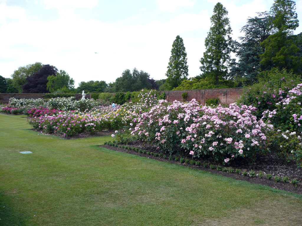 Rose Garden, Hampton Court