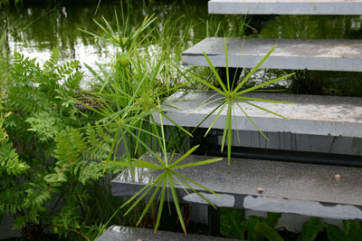 Infinity, designed by Oliver & Liat Schurmann, RHS Hampton Court Palace Flower Show 2007