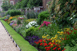 Herbaceous Border, Hampton Court Palace Garden