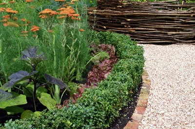 Mange Tout, Hampton Court Palace Flower Show