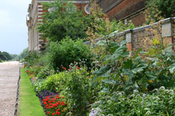Herbaceous Border, Hampton Court Palace Garden
