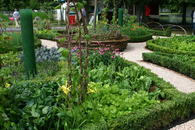 Mange Tout, Hampton Court Palace Flower Show
