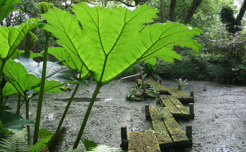 Hannah Peschar Gallery and Sculpture Garden Premasagar