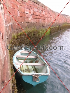 Harbour Boat