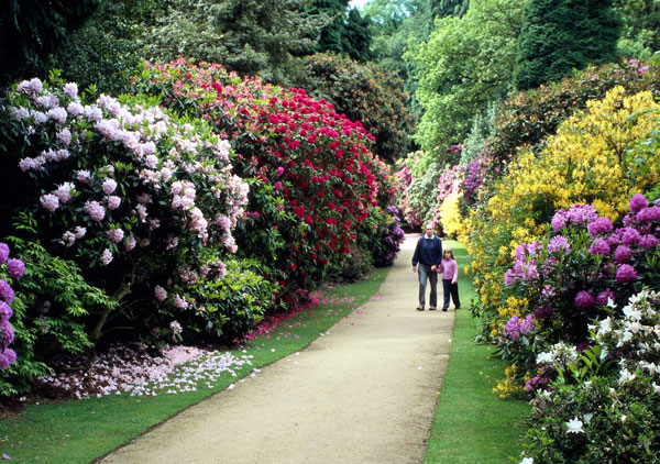 Hare Hill Garden