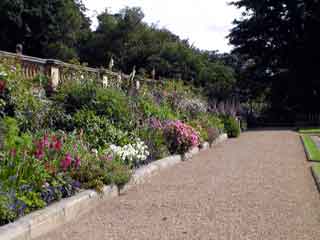 Harewood house garden1