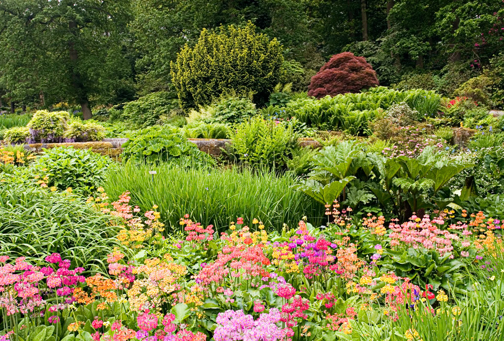Streamside, RHS Garden Harlow Carr