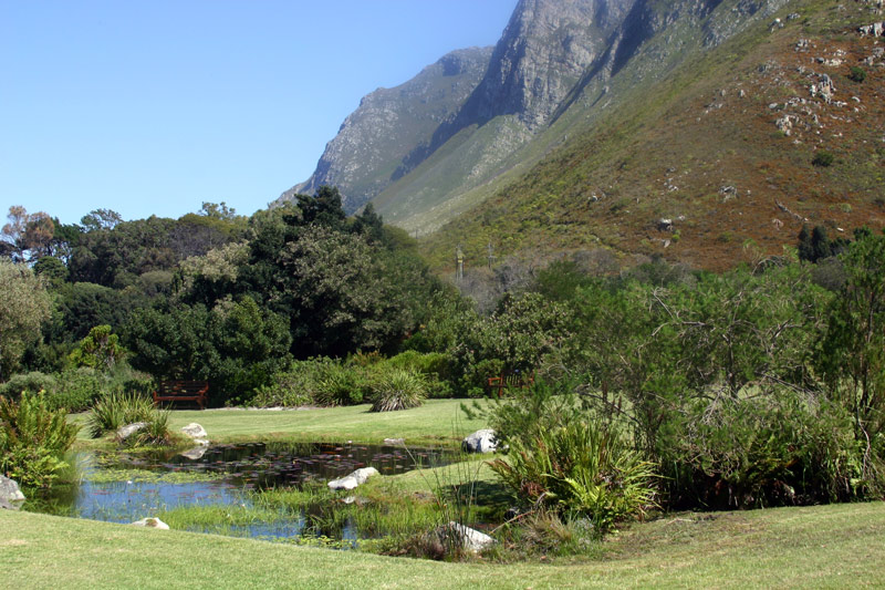 Harold Porter National Botanic Garden, South Africa