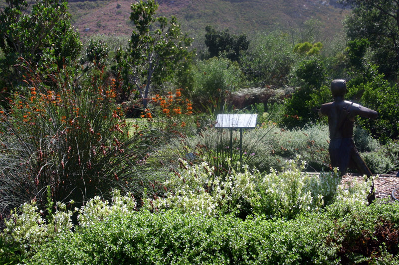 Harold Porter National Botanic Garden, Western Cape