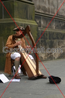 Harpist