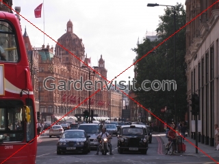 Harrods