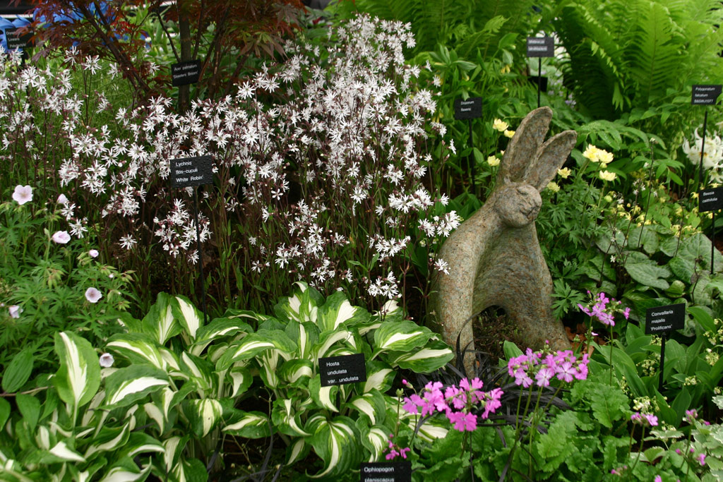 Harveys Garden Plants, Suffolk