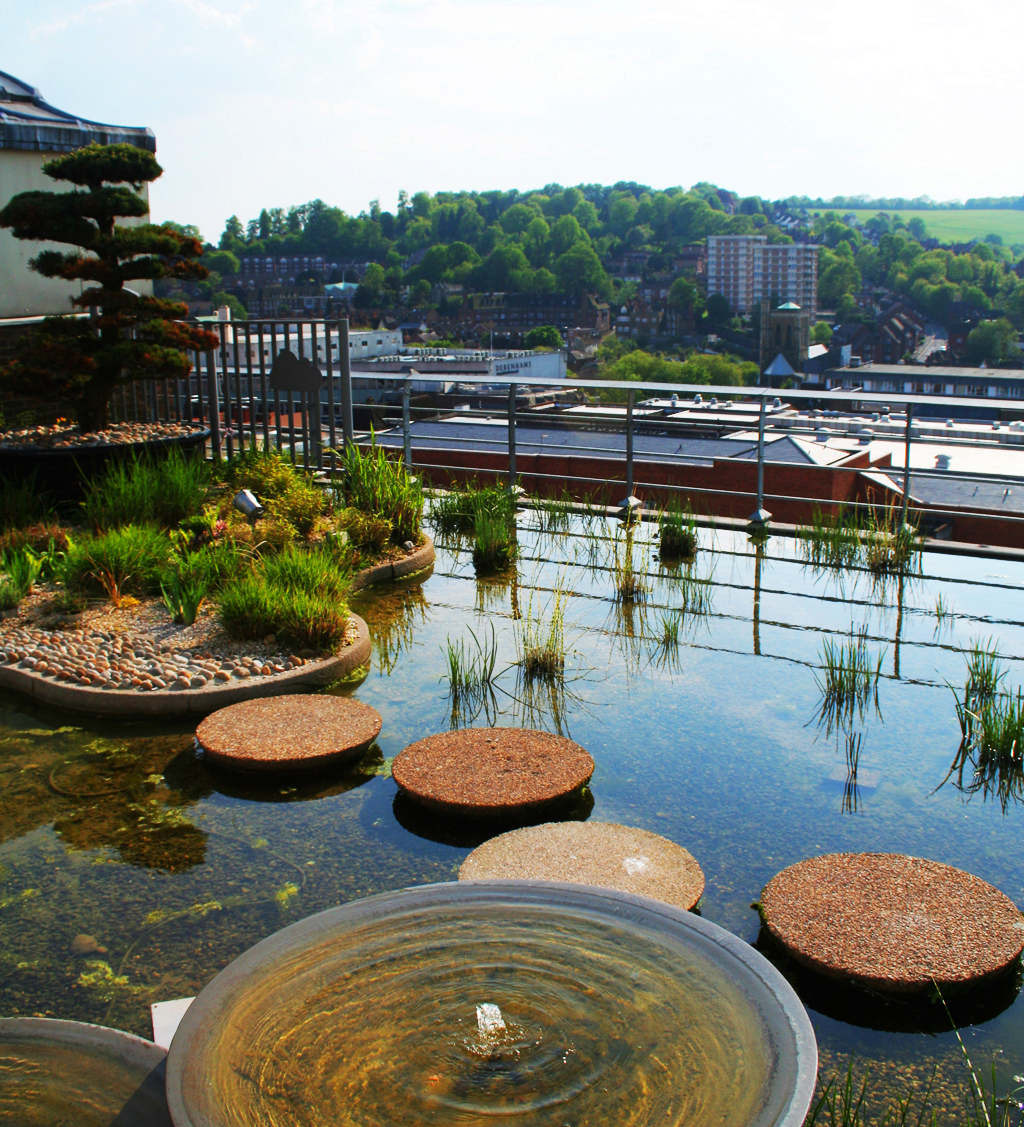 Harvey's Store Roofgarden (now House of Fraser) Jo Folkes