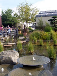 Harveys store roofgarden