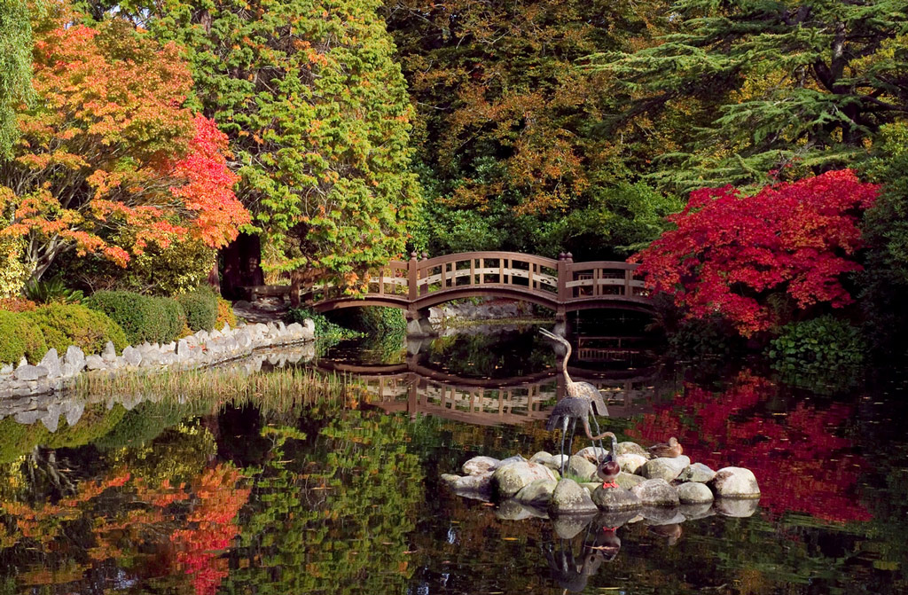 Japanese Bridge, Hatley Park