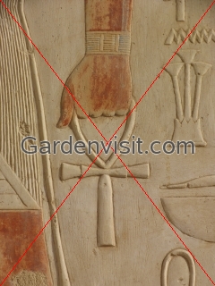 Ankh carving Hatshepsut Temple
