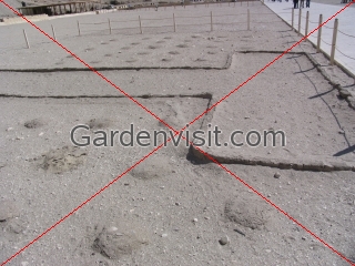 Tree planting pits Hatshepsut Temple