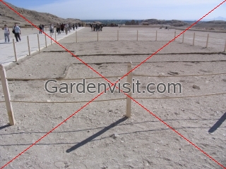 Tree planting pits at Hatshepsut Temple