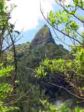 Hawaii Vista